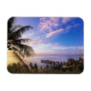 Recherche de polynésie magnets Moorea