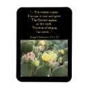 Recherche de fleurs de cactus magnets Nature
