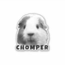 Recherche de des amoureux de les chats autocollants Pour animaux