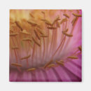 Recherche de pollen magnets Floral