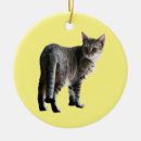 Zoek naar tabby cat ornamenten Kattenliefhebber