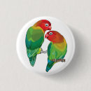 Recherche de deux oiseaux badges Paire