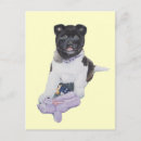 Recherche de akita cartes postales Chiots