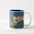 Recherche de mangeant tasses Animal
