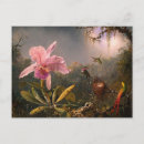 Recherche de orchidées cartes postales Colibri