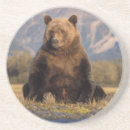 Zoek naar grizzly onderzetters Alaska