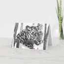 Recherche de gros chat vœux cartes Tropical