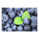 Recherche de bleuet posters Nourriture