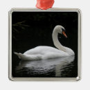 Recherche de cygne blanc ornements Cygnes