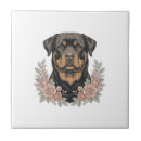 Recherche de rottweiler carreaux Animal