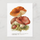 Recherche de mushroom posters Watercolor