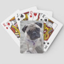 Recherche de carlin jeux de cartes Animal
