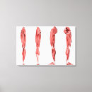 Recherche de ligaments Image numériquement produite