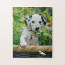 Zoek naar dalmatian puzzels Schattig