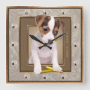 Recherche de jack russell terrier horloges Mignon