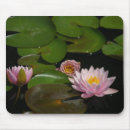 Recherche de nénuphars roses tapis souris Étang