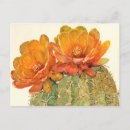 Recherche de fleur orange cartes postales Cactus