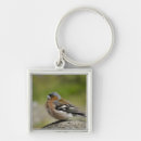 Recherche de make up porteclés Close