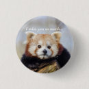 Zoek naar rode panda accessoires Beer