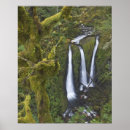 Zoek naar triple posters Waterval