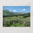 Recherche de crested butte postcards cartes postales Fleur sauvage