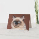 Zoek naar siamese kat kaarten Feliene