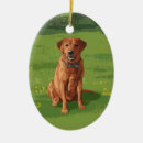 Zoek naar labrador dog ornamenten Gele lab