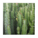 Zoek naar cactussen tegels Cacti