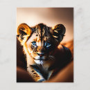 Recherche de yeux de lion cartes postales Nature