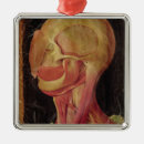 Recherche de anatomie ornements Hieronymus