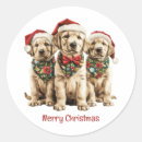 Zoek naar labrador puppy stickers Liefhebber