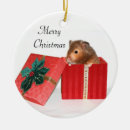 Zoek naar hamsters ornamenten Huisdier