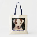 Recherche de jack russell sacs Puppies