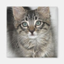 Recherche de aux yeux bleus magnets Pour tous