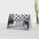 Recherche de chat gris et blanc vœux cartes Chats