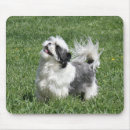 Recherche de tzu shih tapis souris Chien