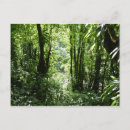 Recherche de forêts tropicales cartes postales Vert
