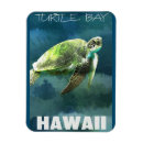 Recherche de tortue mer magnets Tropical