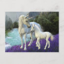 Recherche de poulain cartes postales Licorne