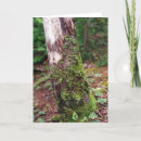 Zoek naar christmas tree briefkaarten Groen