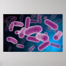 Recherche de imagerie médicale posters Horizontal