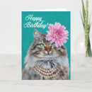 Zoek naar diva kat kaarten Humor