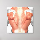 Recherche de masculines art Gros plan