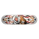 Recherche de pro skateboards Chat