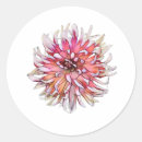 Recherche de dahlia autocollants Jardins