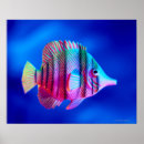 Zoek naar lengte posters Blauw