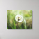 Zoek naar dandelion kunst Bloem