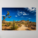 Recherche de yucca posters Parc national