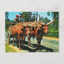 Recherche de chars cartes postales Vintage