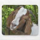 Recherche de viande tapis souris Bétail